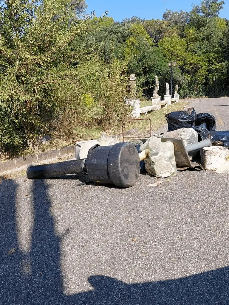 Immagine della giornata