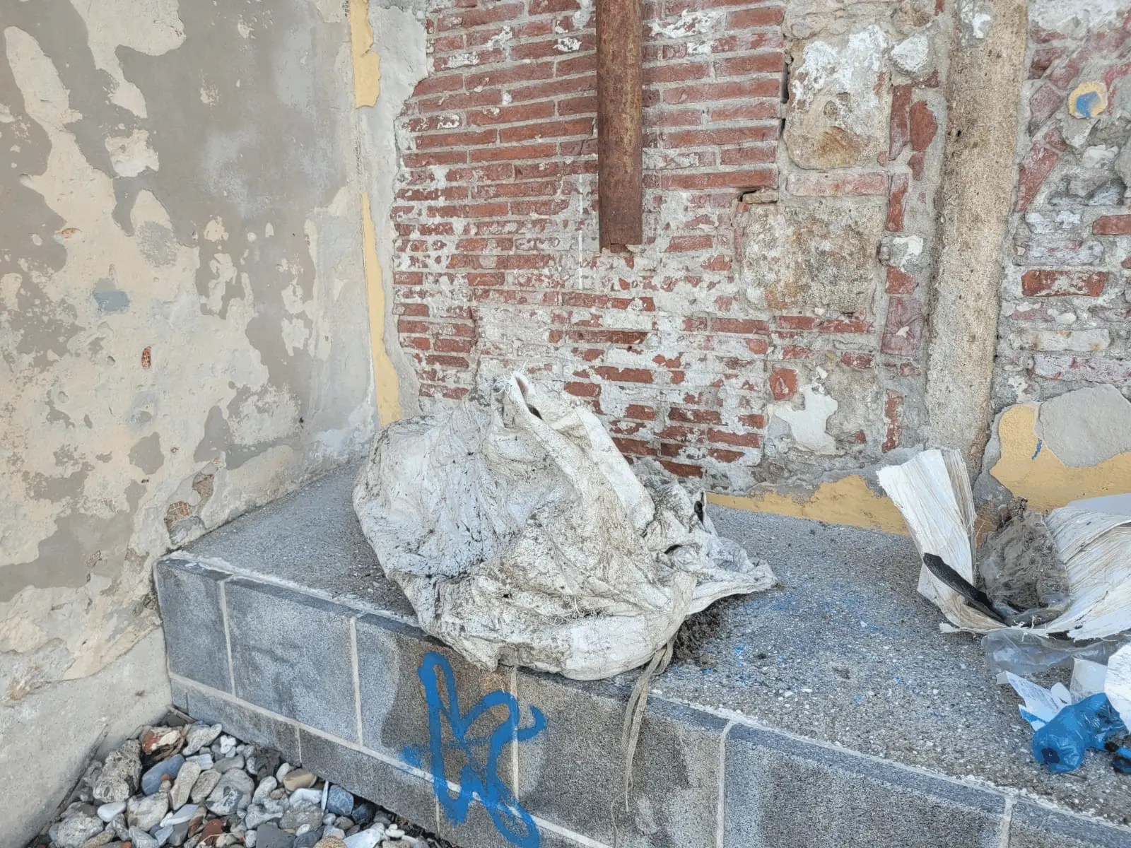 Immagine della giornata