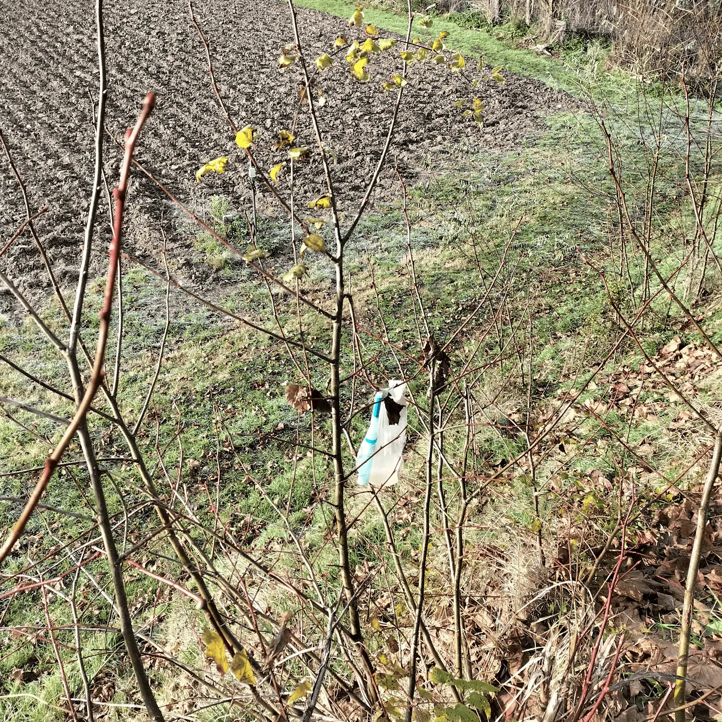 Immagine della giornata