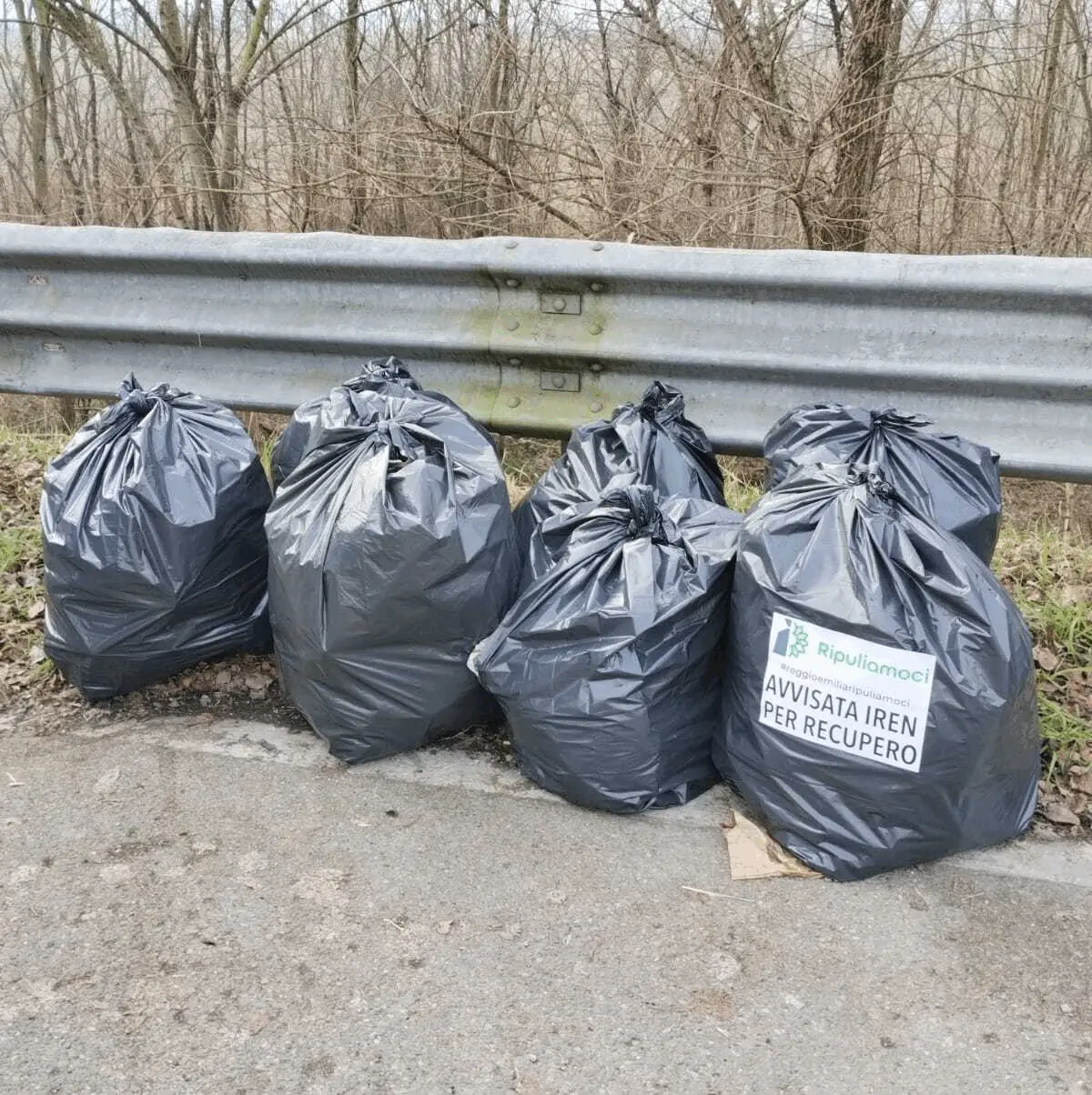 Immagine della giornata