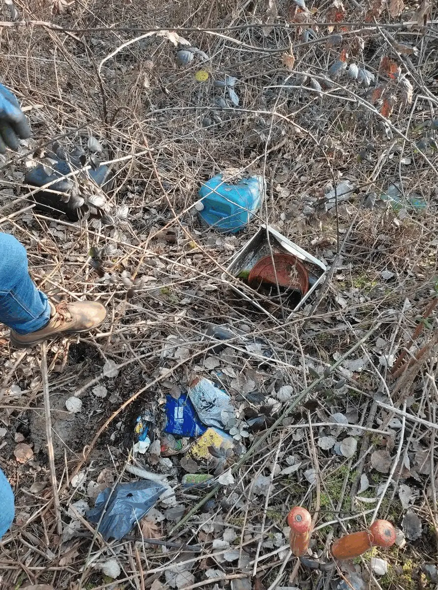 Immagine della giornata