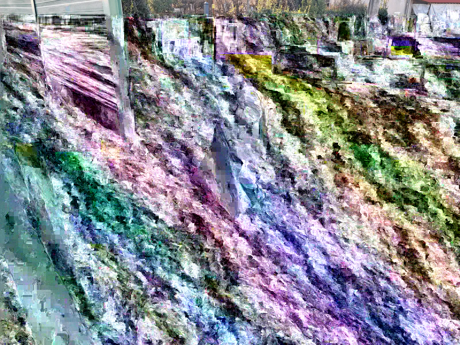 Immagine della giornata