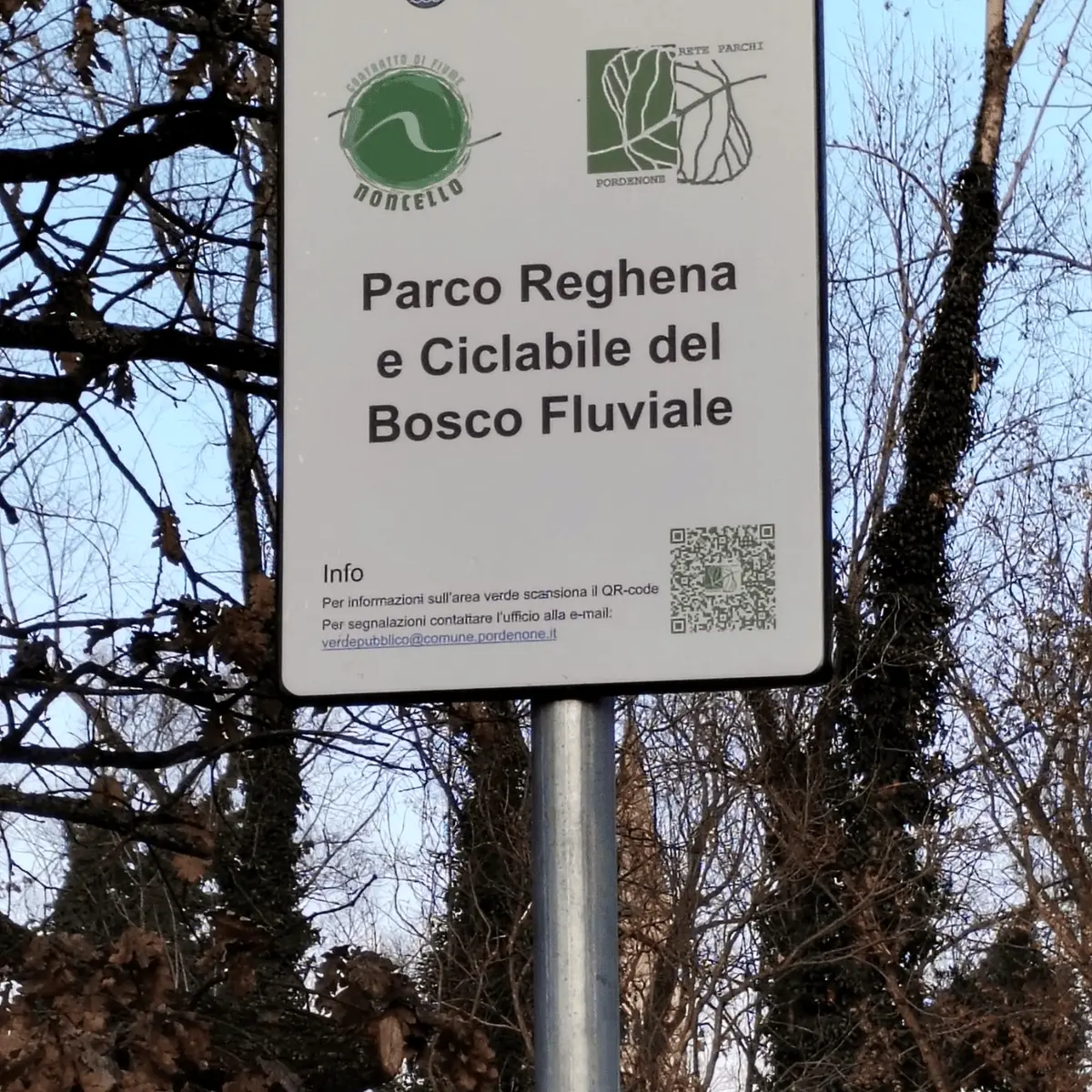 Immagine della giornata