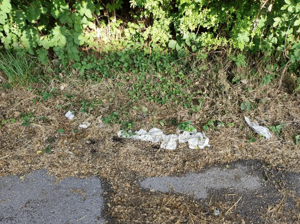 Immagine della giornata