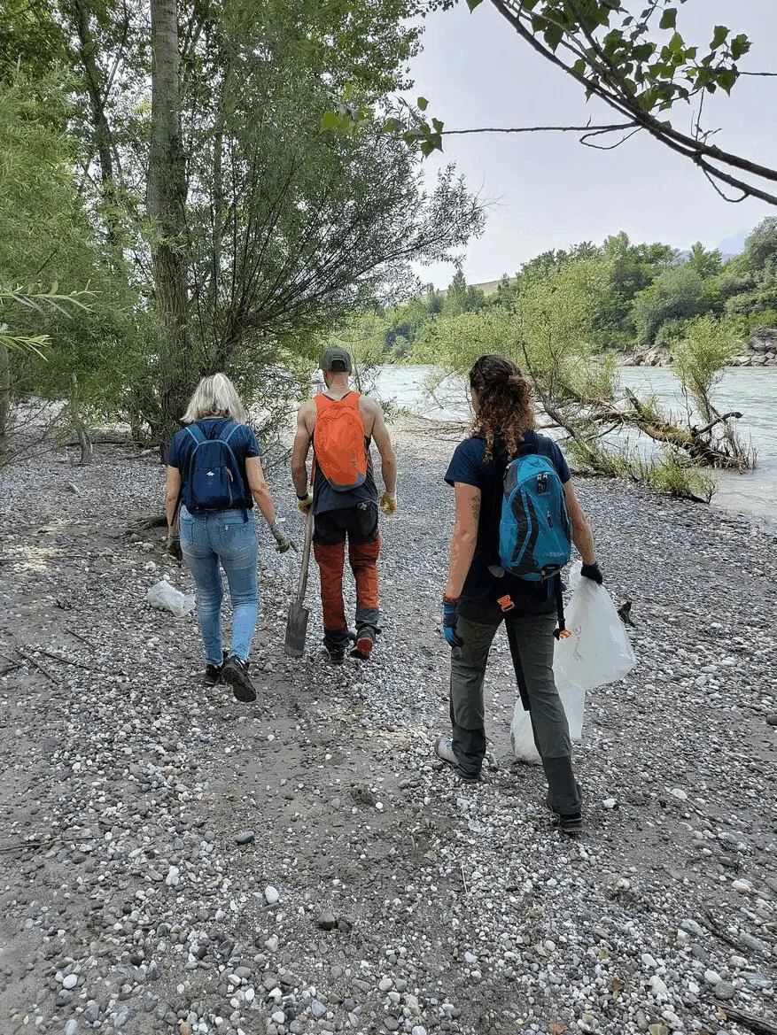 Immagine della giornata