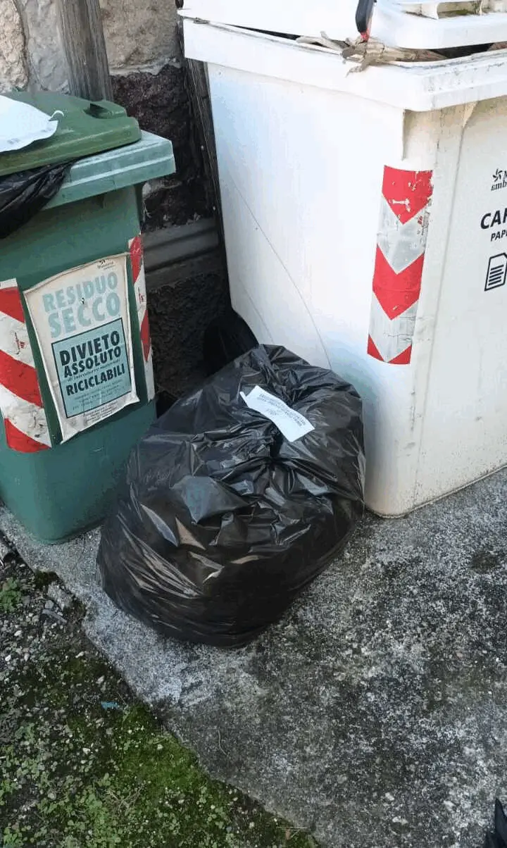 Immagine della giornata