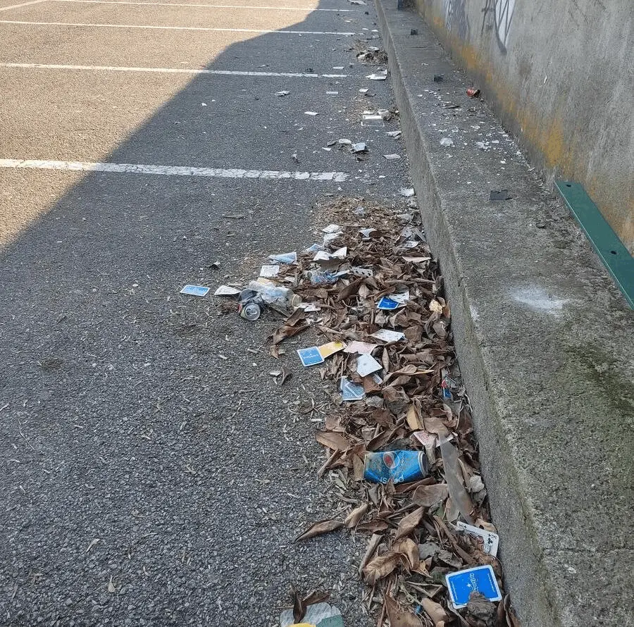Immagine della giornata
