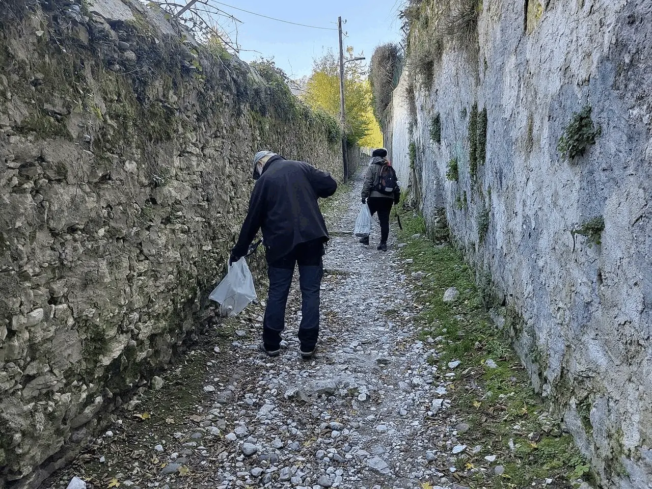 Immagine della giornata