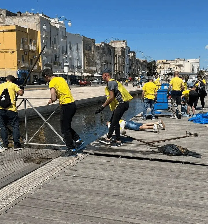 Immagine della giornata
