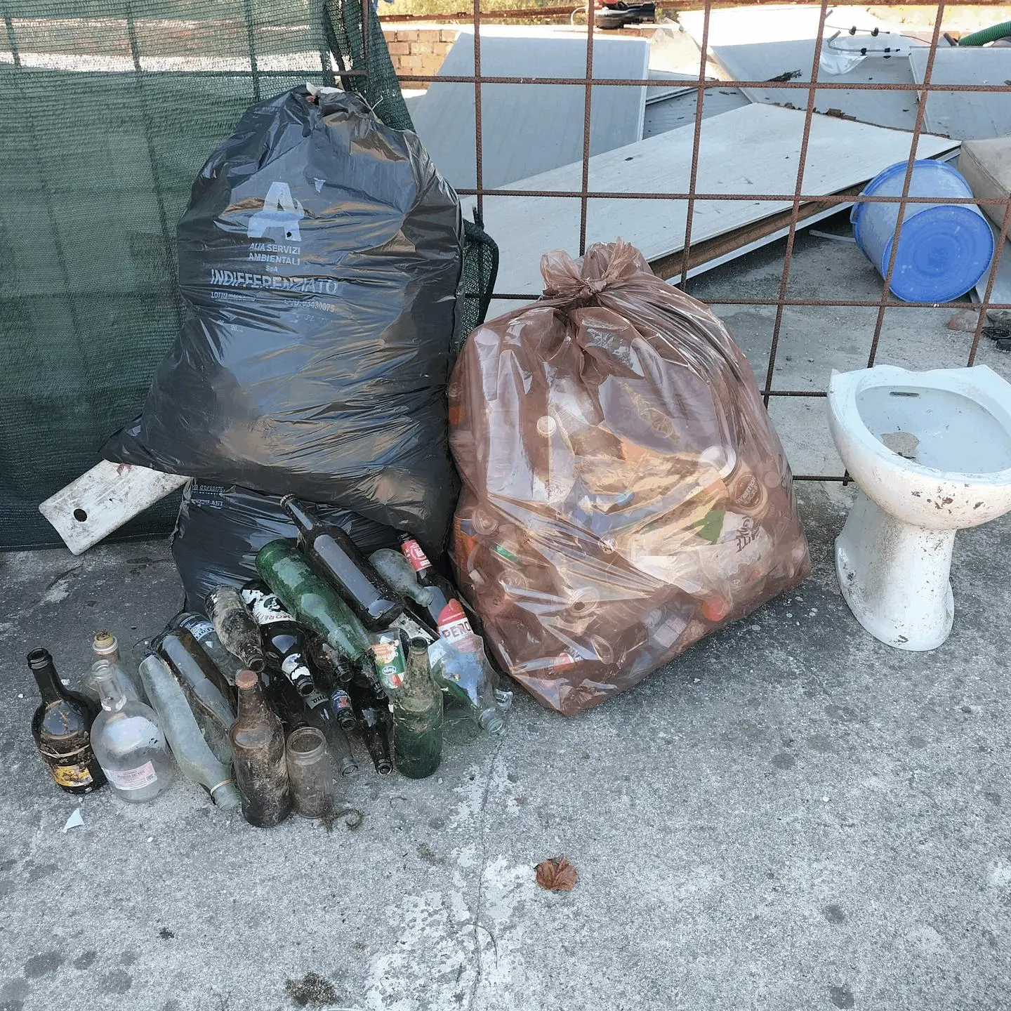 Immagine della giornata