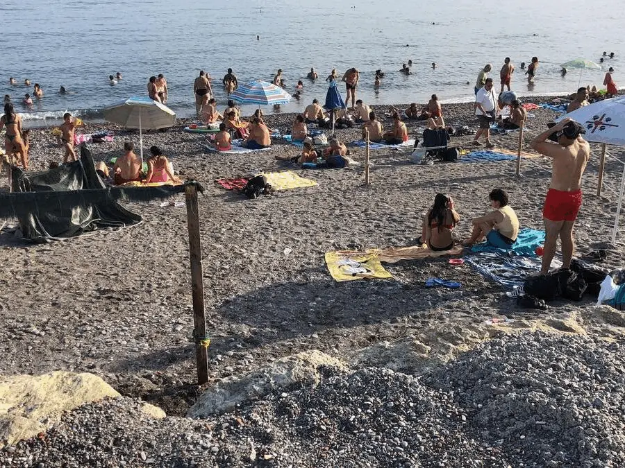Immagine della giornata