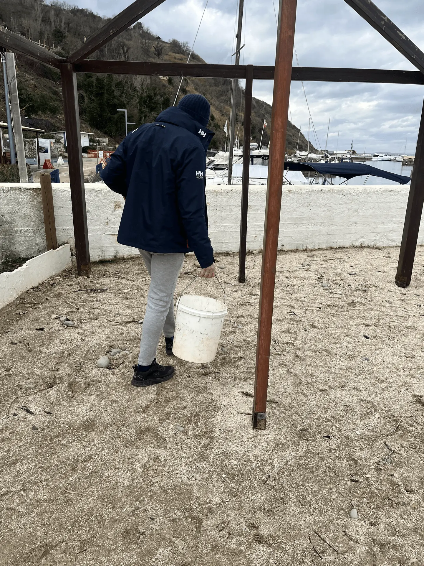 Immagine della giornata