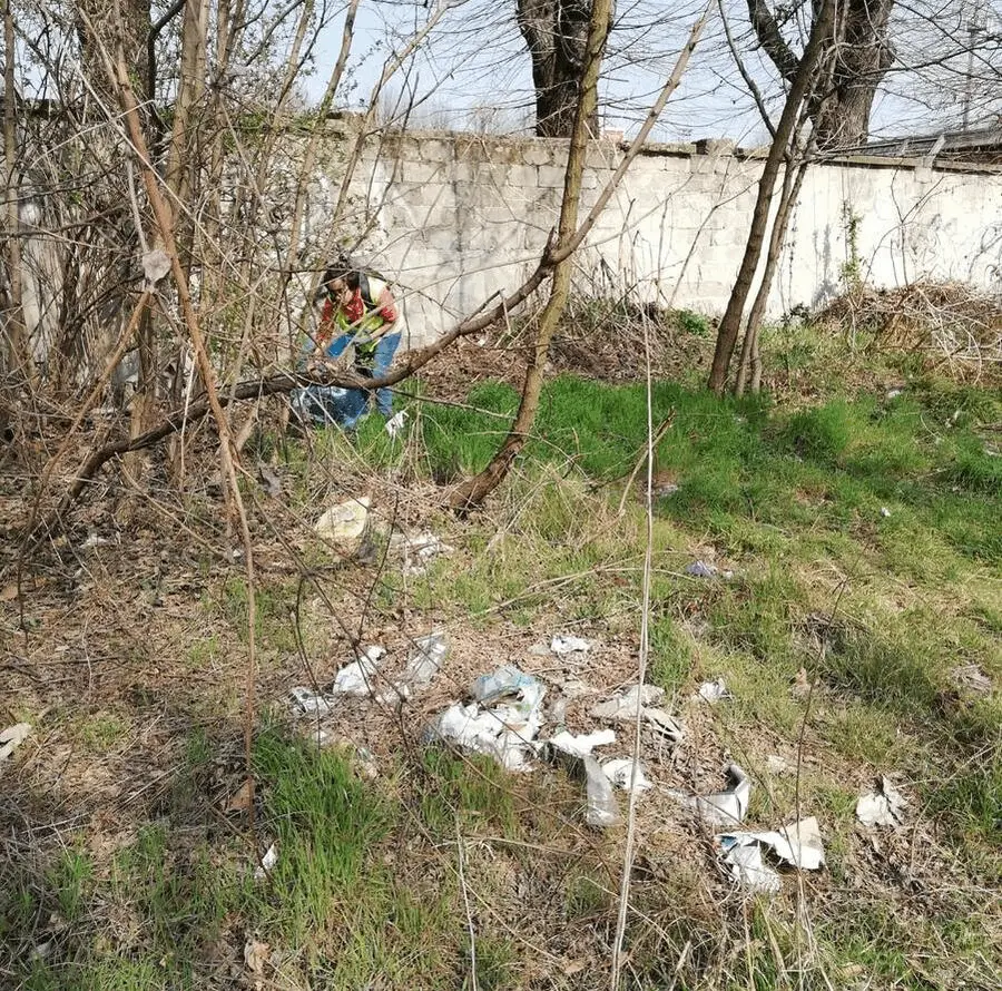 Immagine della giornata