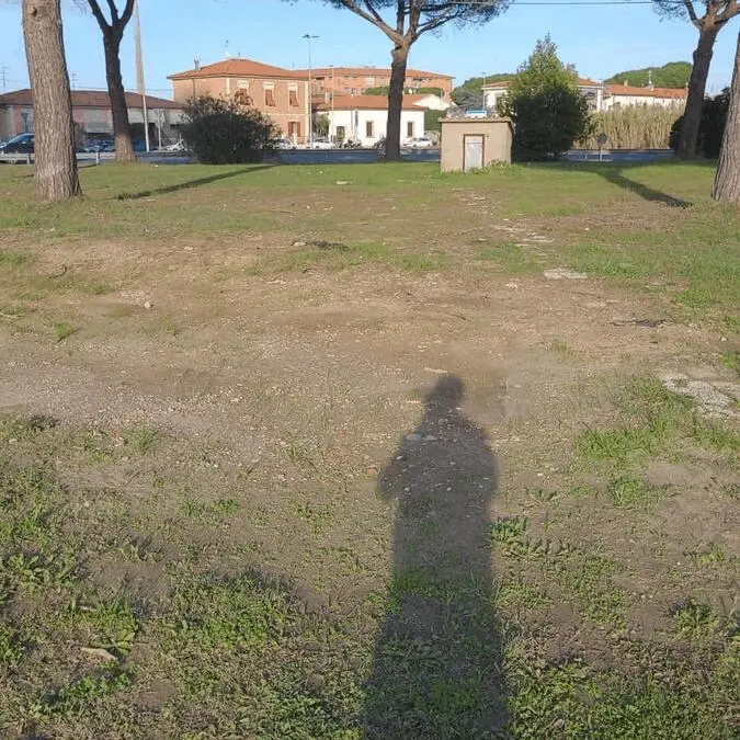 Immagine della giornata