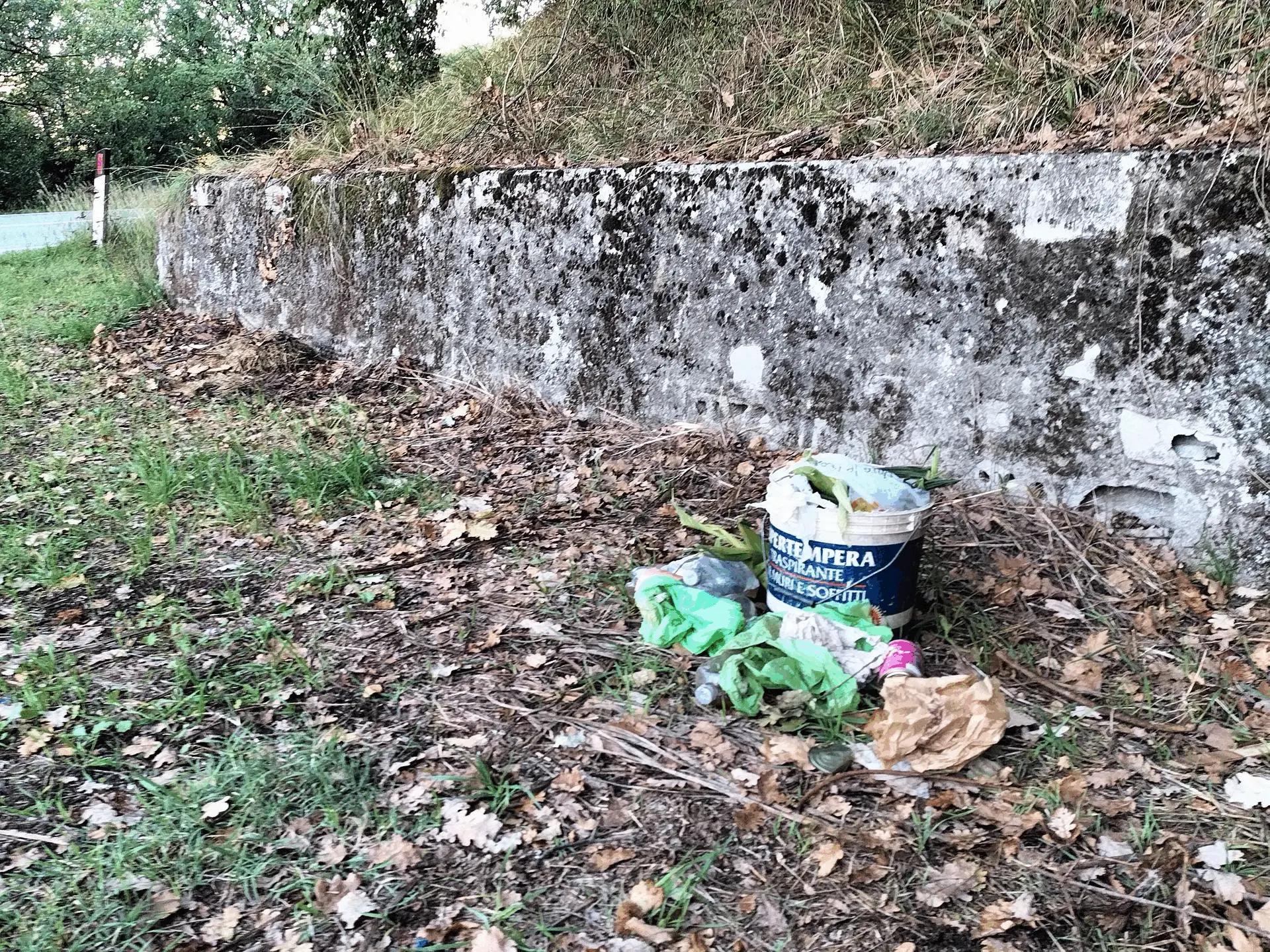 Immagine della giornata