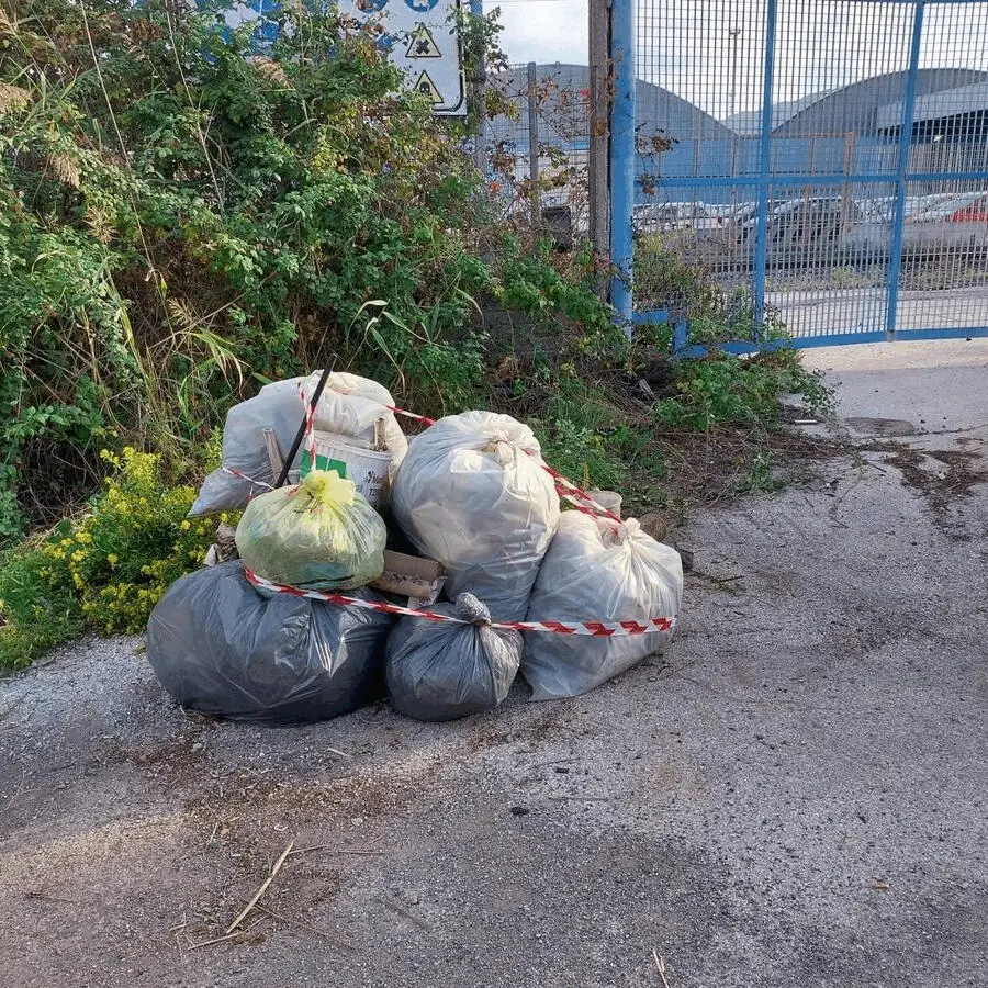 Immagine della giornata