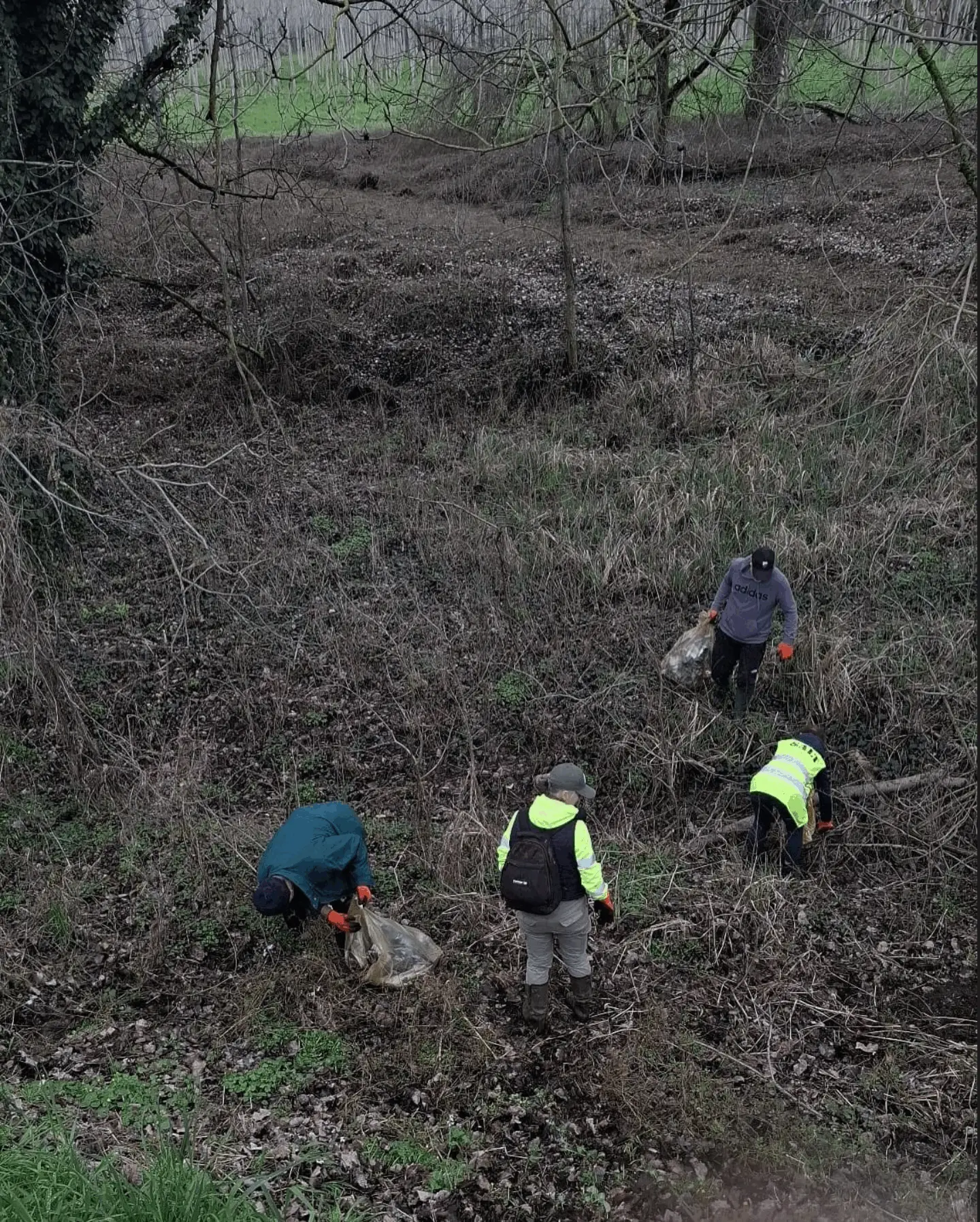 Immagine della giornata