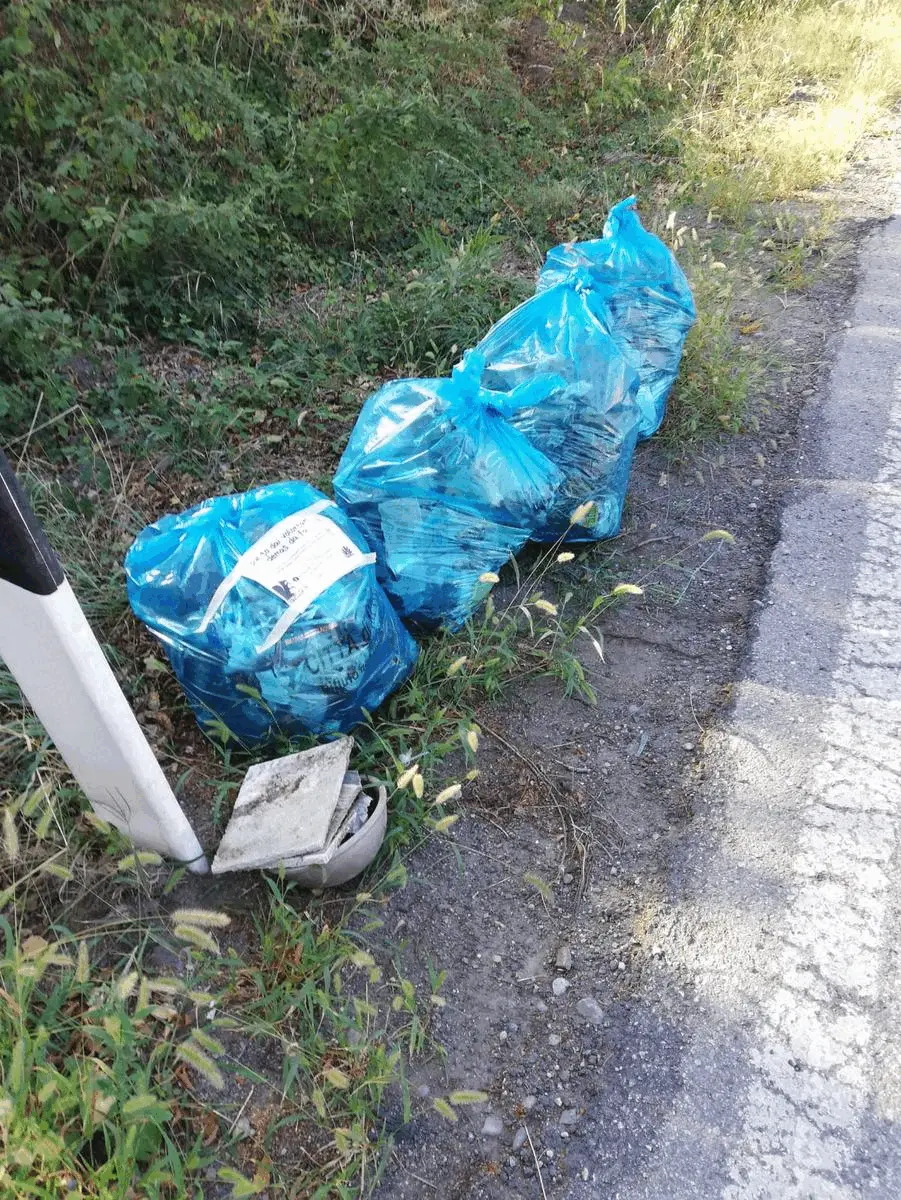 Immagine della giornata