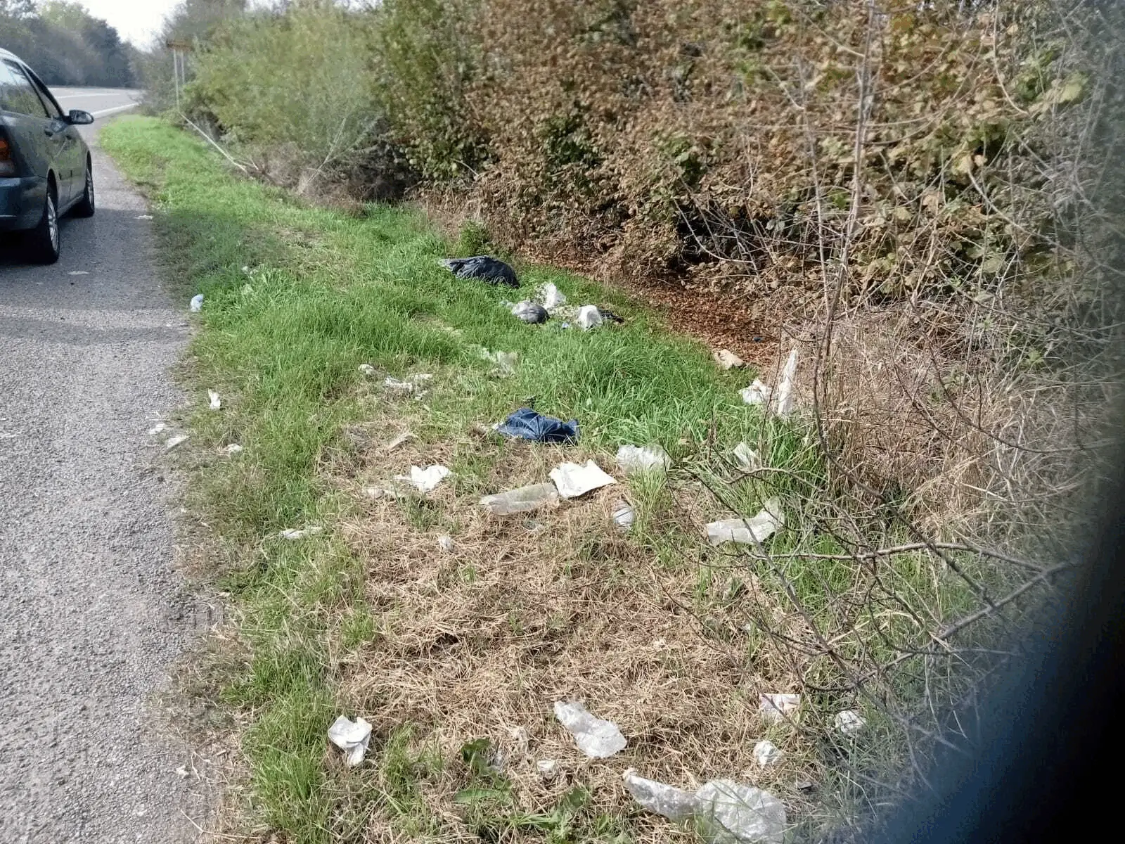 Immagine della giornata