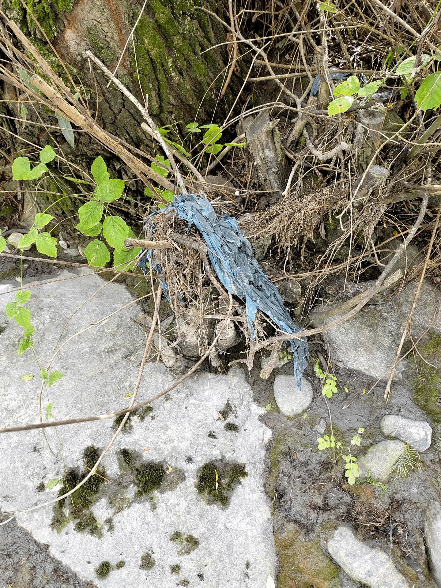 Immagine della giornata