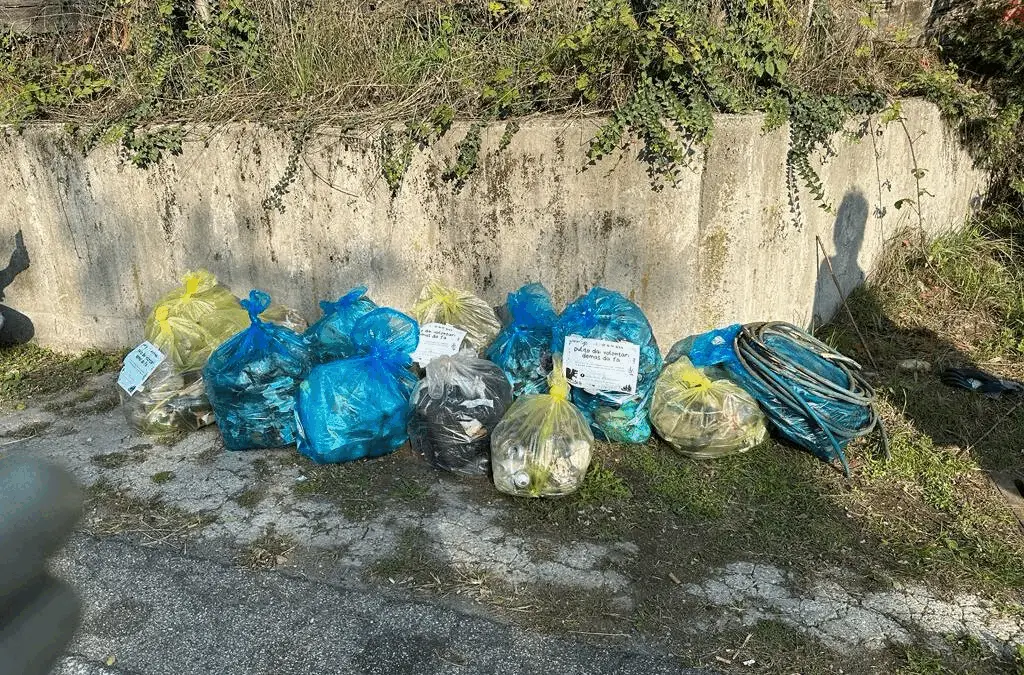 Immagine della giornata