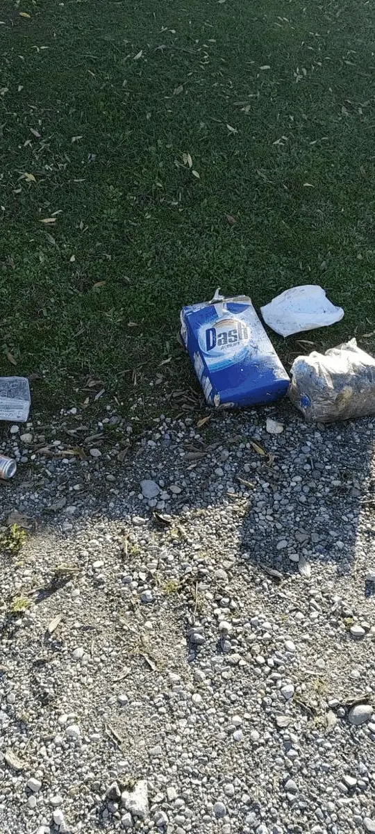 Immagine della giornata