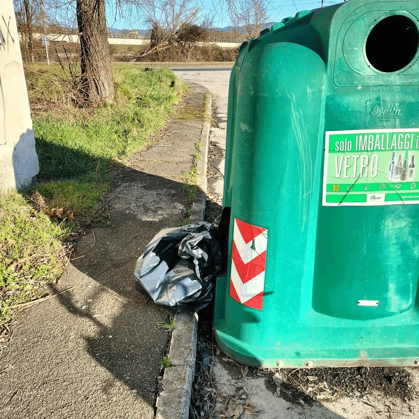 Immagine della giornata