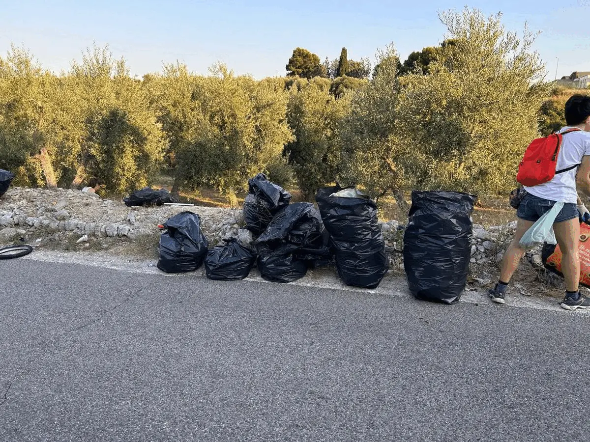 Immagine della giornata