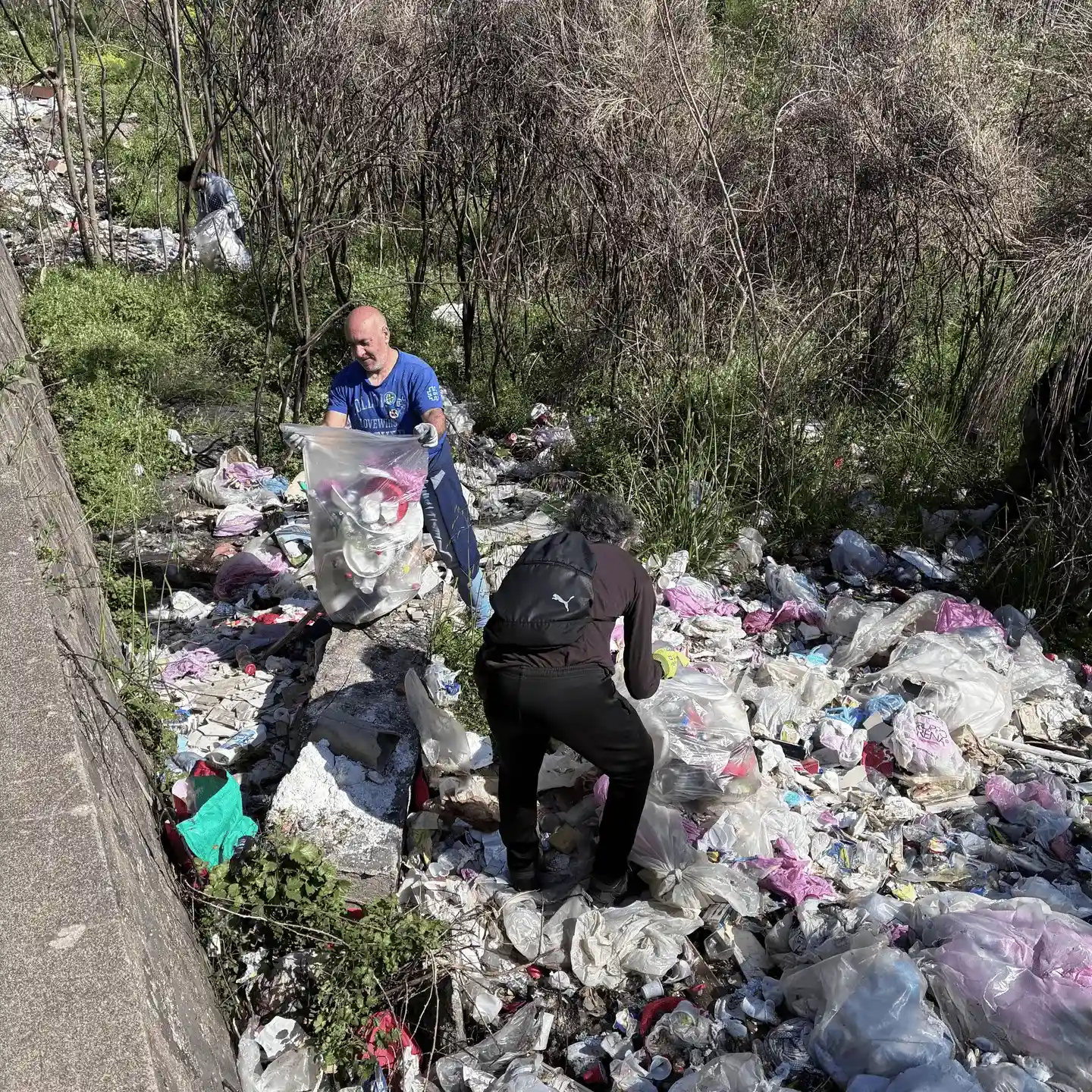 Immagine della giornata