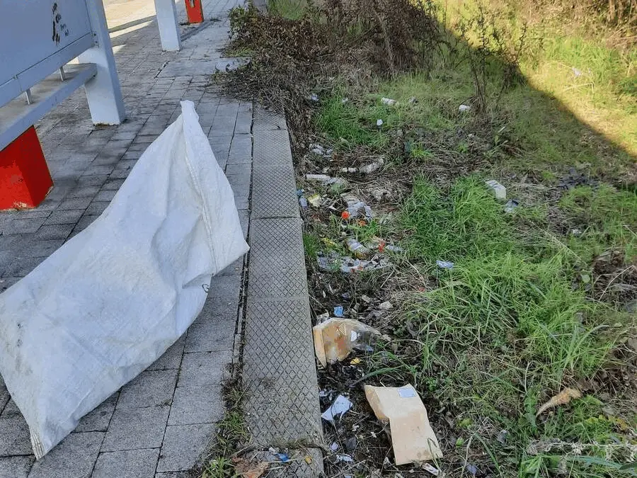 Immagine della giornata