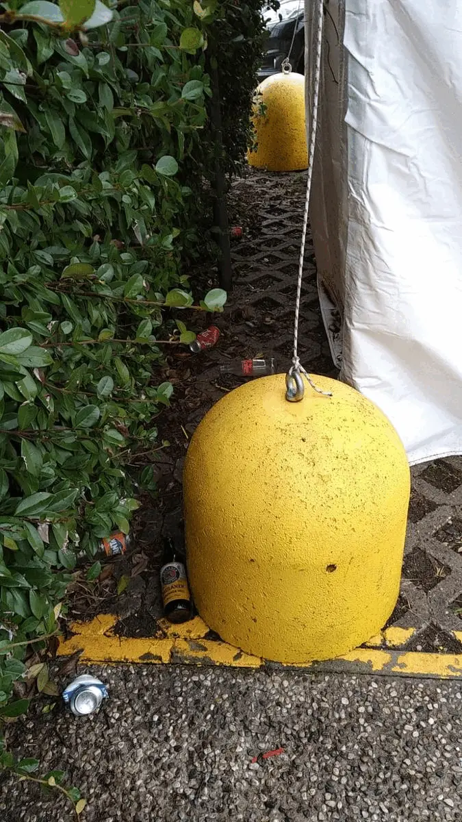 Immagine della giornata