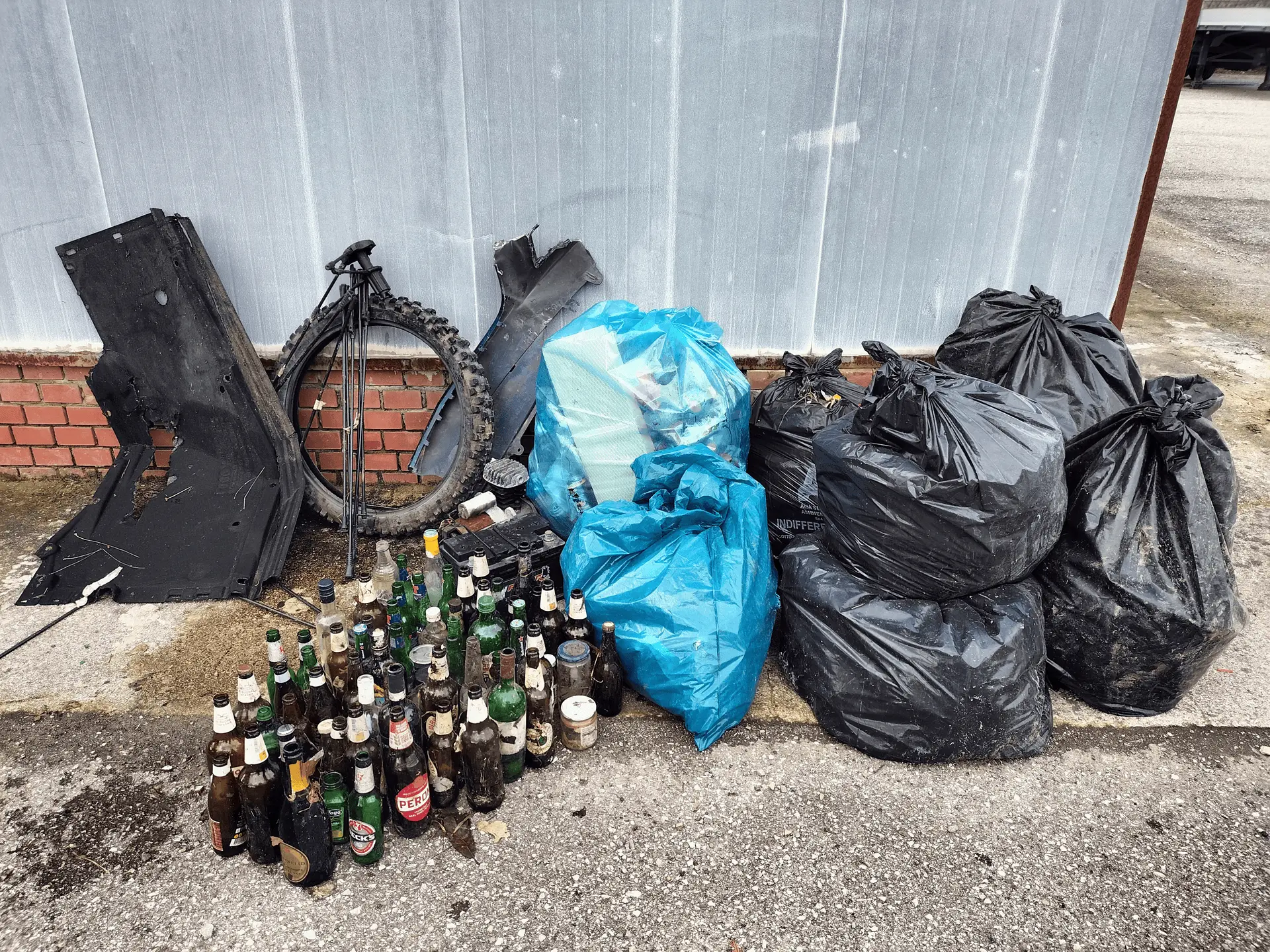 Immagine della giornata