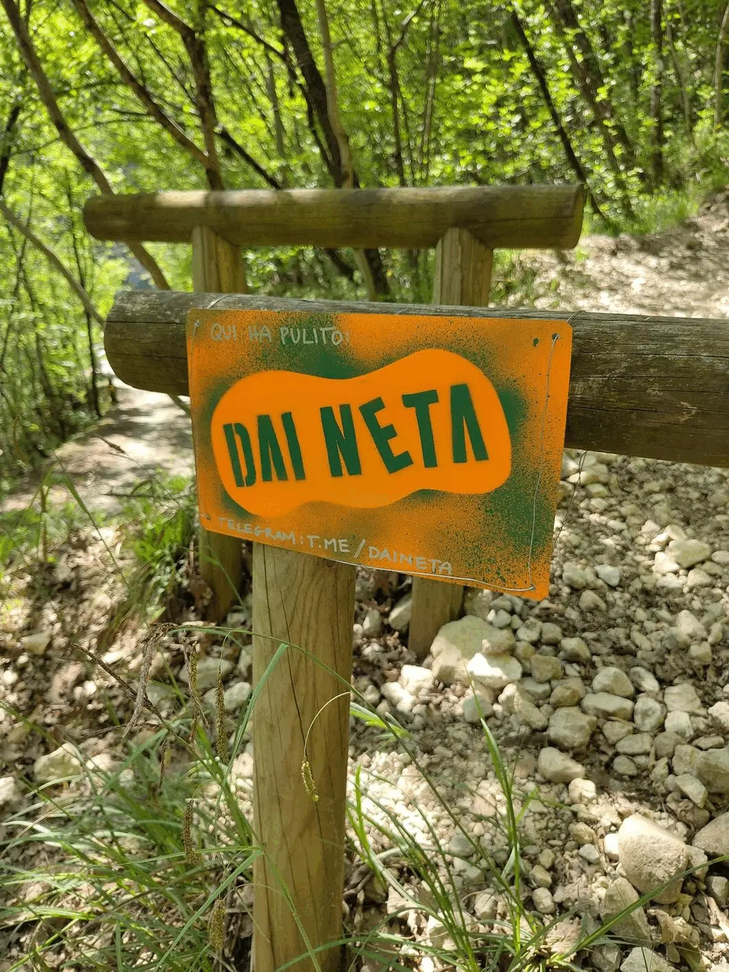 Immagine della giornata