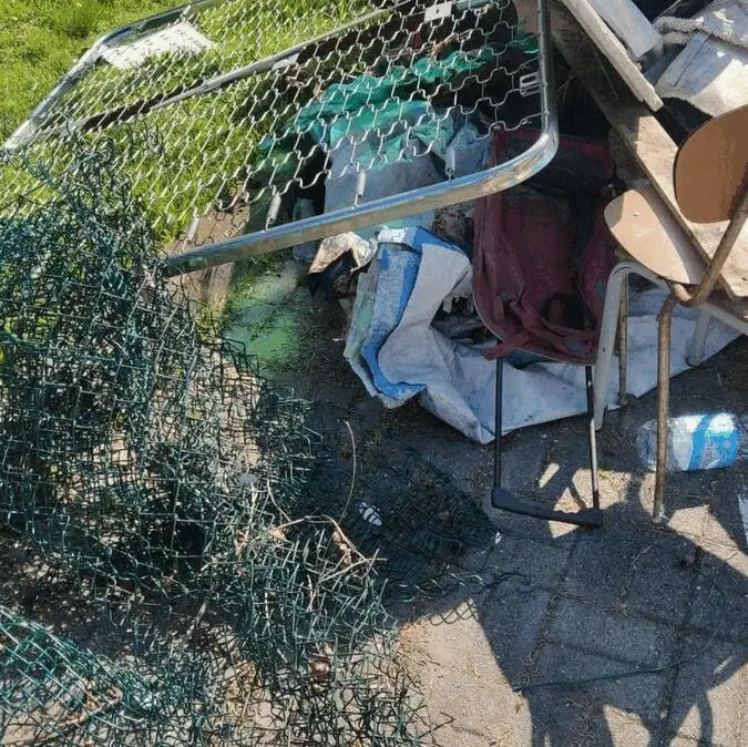 Immagine della giornata