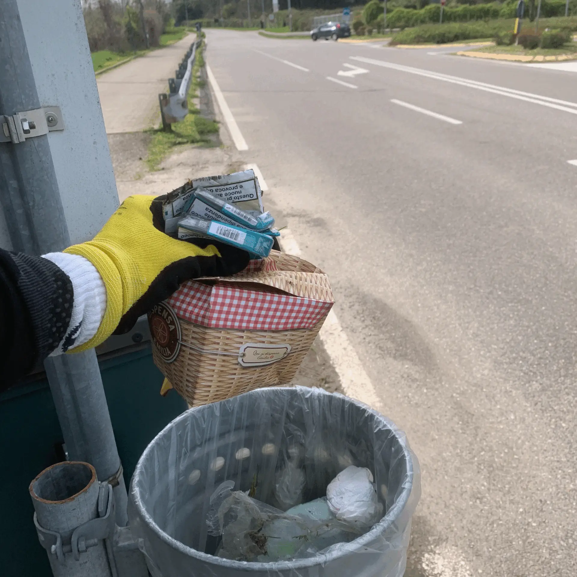 Immagine della giornata