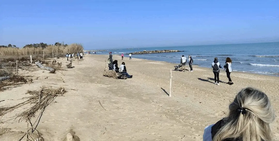 Immagine della giornata