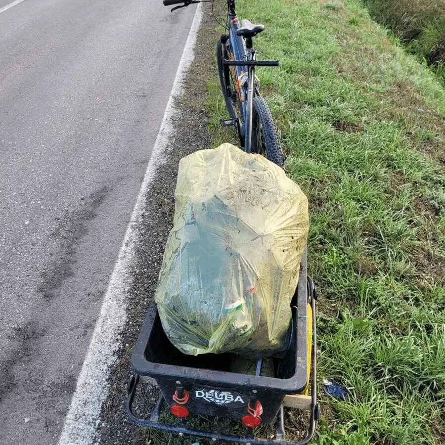 Immagine della giornata