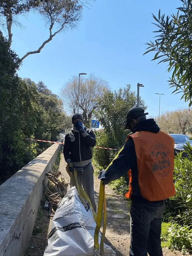 Immagine della giornata