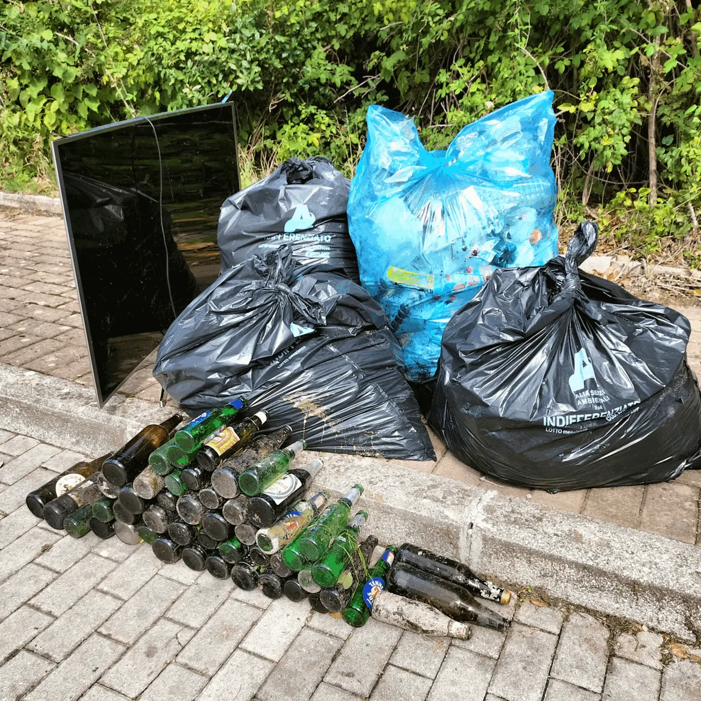 Immagine della giornata