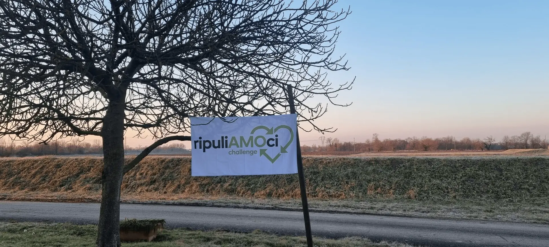 Immagine della giornata