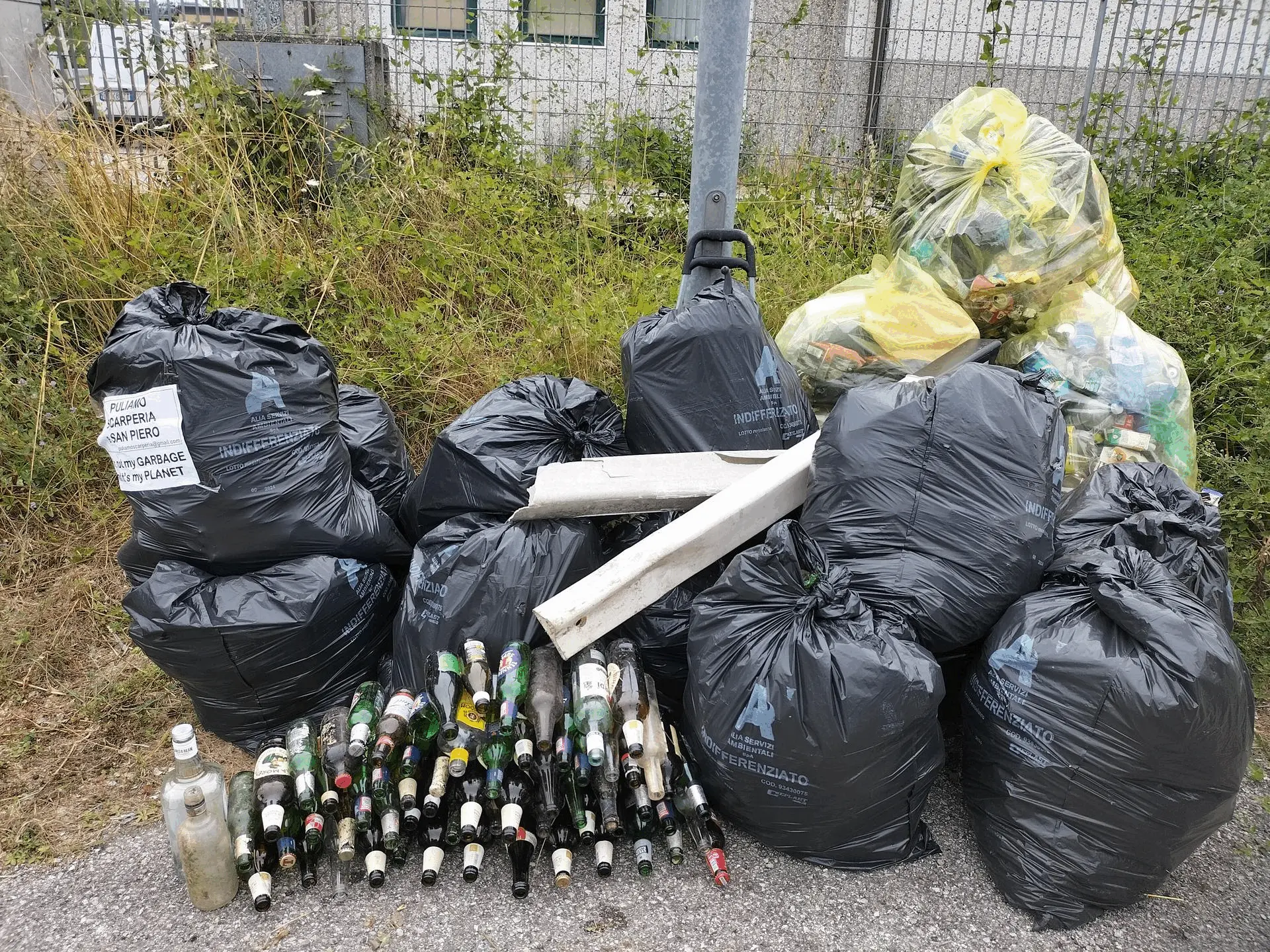 Immagine della giornata