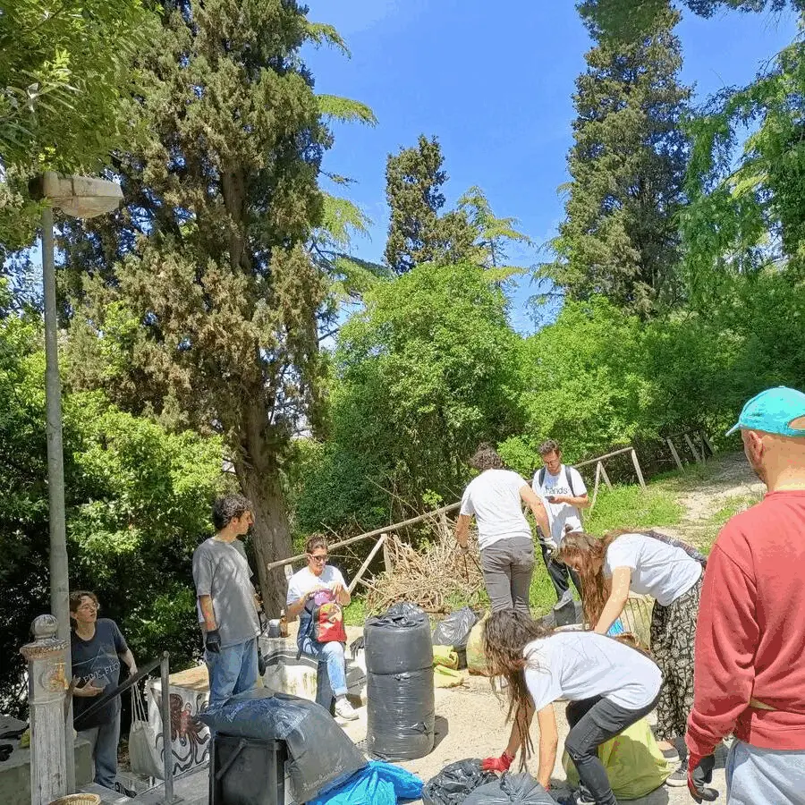 Immagine della giornata