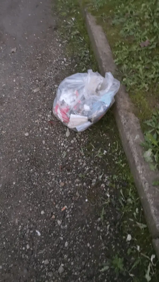 Immagine della giornata