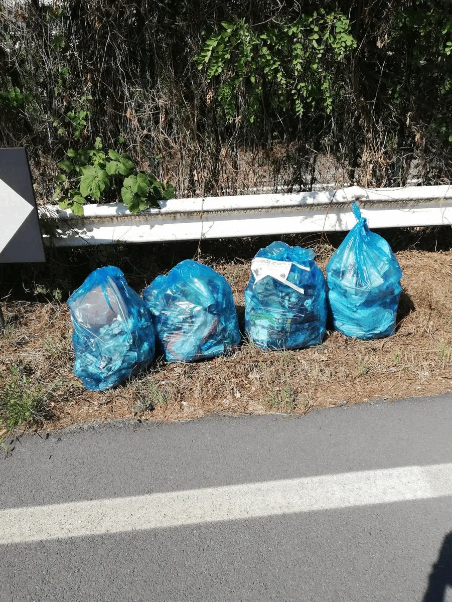 Immagine della giornata