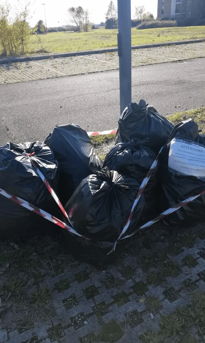 Immagine della giornata