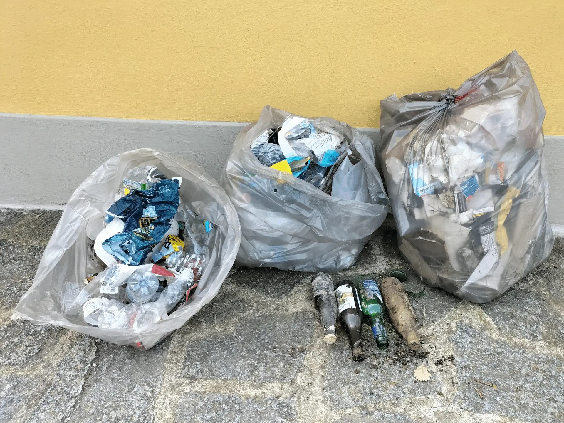 Immagine della giornata