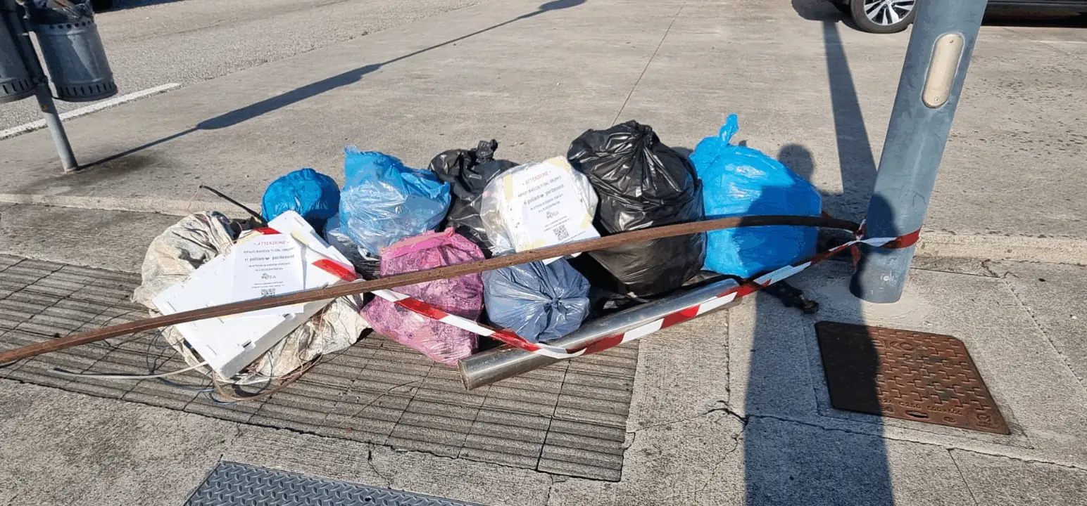 Immagine della giornata