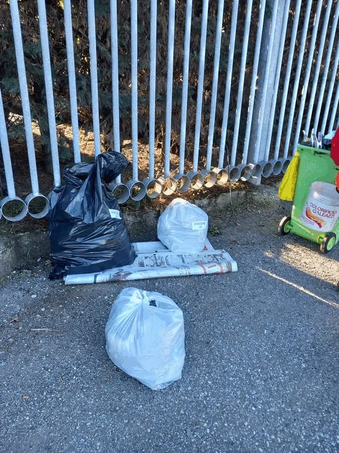 Immagine della giornata