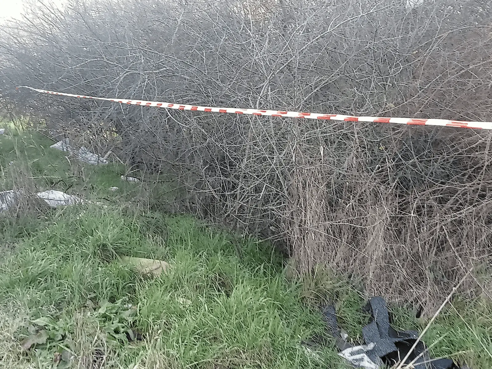 Immagine della giornata