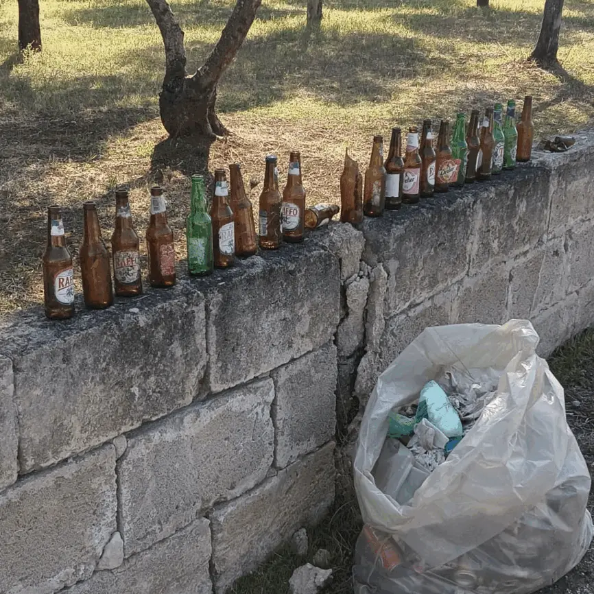 Immagine della giornata